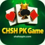 CHSH PK Game
