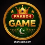 PAK804 Game