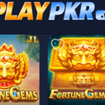 Play PKR Game