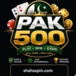 PAK500 Game