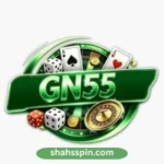 GN55 Game